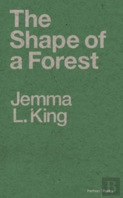 The Shape Of A Forest