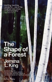 The Shape Of A Forest