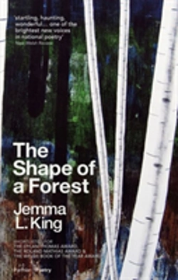 Bertrand.pt - The Shape Of A Forest
