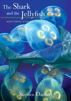 Bertrand.pt - The Shark And The Jellyfish
