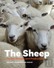 The Sheep