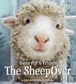 Bertrand.pt - The Sheepover