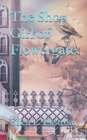 The Shop Girl Of Flowergate