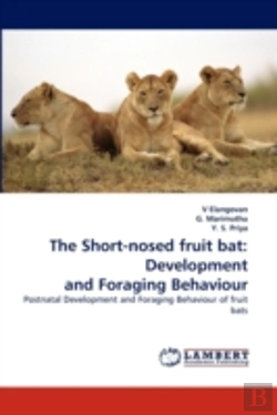 Bertrand.pt - The Short-Nosed Fruit Bat