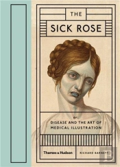 The Sick Rose
