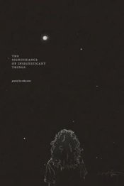 The Significance Of Insignificant Things