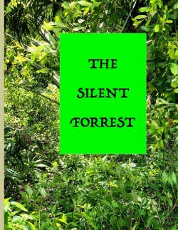 Bertrand.pt - The Silent Forest