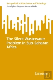The Silent Wastewater Problem In Sub-Saharan Africa