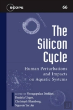 Bertrand.pt - The Silicon Cycle