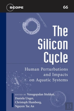 Bertrand.pt - The Silicon Cycle