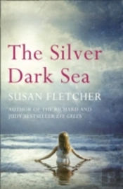 The Silver Dark Sea