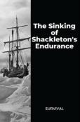 The Sinking Of Shackleton'S Endurance