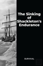 The Sinking Of Shackleton'S Endurance