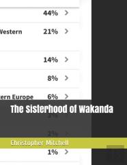 The Sisterhood Of Wakanda