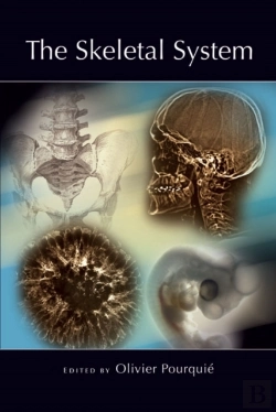 Bertrand.pt - The Skeletal System