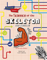 The Skeleton And Muscles