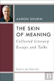 The Skin Of Meaning
