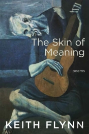 The Skin Of Meaning