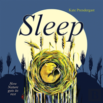 The Sleep Book