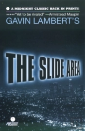 The Slide Area