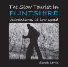 The Slow Tourist In Flintshir