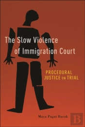 The Slow Violence Of Immigration Court