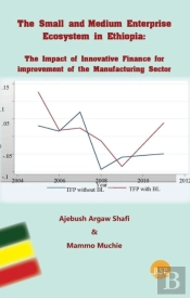 The Small And Medium Enterprise Ecosystem In Ethiopia