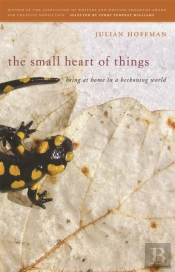 The Small Heart Of Things