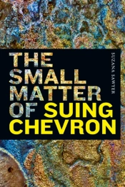 The Small Matter Of Suing Chevron