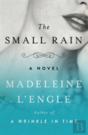 The Small Rain