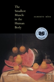 The Smallest Muscle In The Human Body