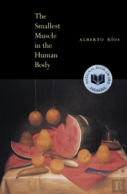 Bertrand.pt - The Smallest Muscle In The Human Body
