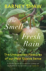 The Smell Of Fresh Rain
