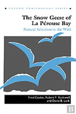Bertrand.pt - The Snow Geese Of La Perouse Bay