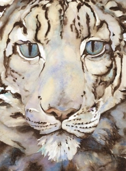 Bertrand.pt - The Snow Leopard - Artist Edition