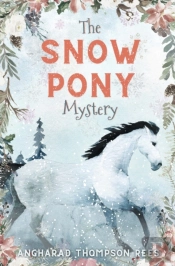 The Snow Pony Mystery