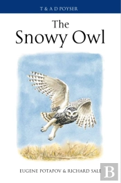 The Snowy Owl