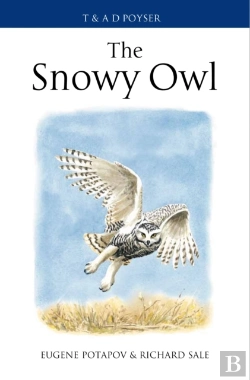Bertrand.pt - The Snowy Owl