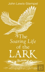 The Soaring Life Of The Lark