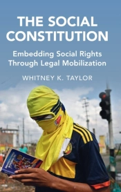 The Social Constitution