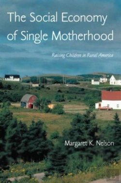 Bertrand.pt - The Social Economy Of Single Motherhood