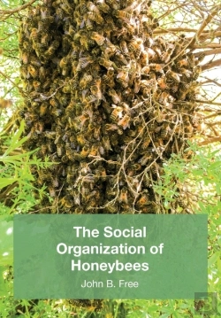 Bertrand.pt - The Social Organisation Of Honeybees