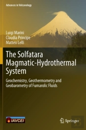 The Solfatara Magmatic-Hydrothermal System