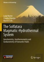 The Solfatara Magmatic-Hydrothermal System