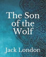 The Son Of The Wolf