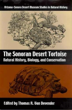 Bertrand.pt - The Sonoran Desert Tortoise