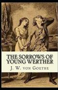 The Sorrows Of Young Werther Illustrated