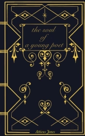 The Soul Of A Young Poet
