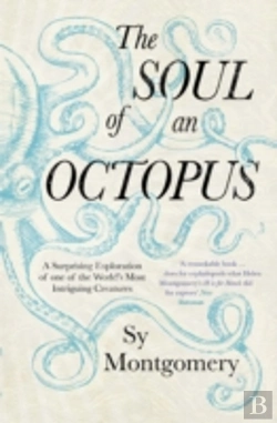 Bertrand.pt - The Soul Of An Octopus Pa