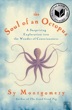 Bertrand.pt - The Soul Of An Octopus